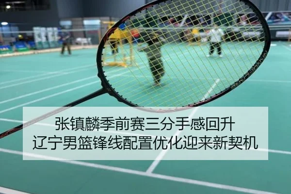 张镇麟季前赛三分手感回升 辽宁男篮锋线配置优化迎来新契机